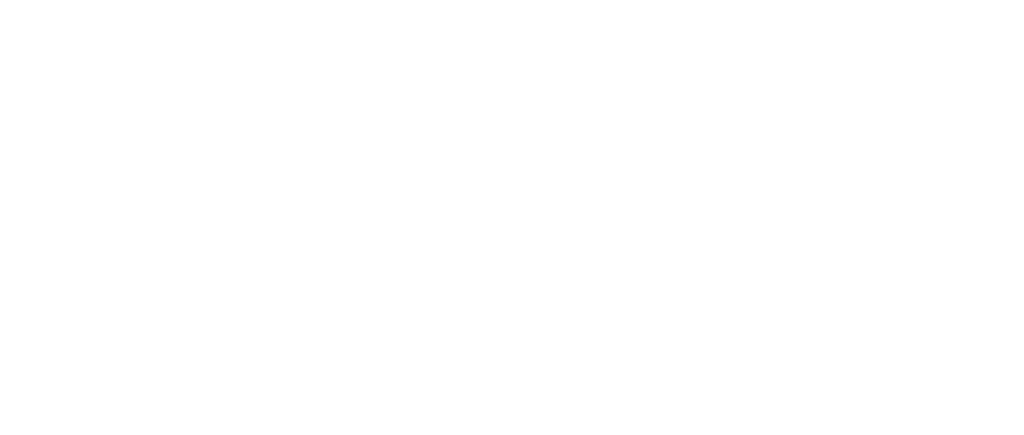 clean dynamics logo
