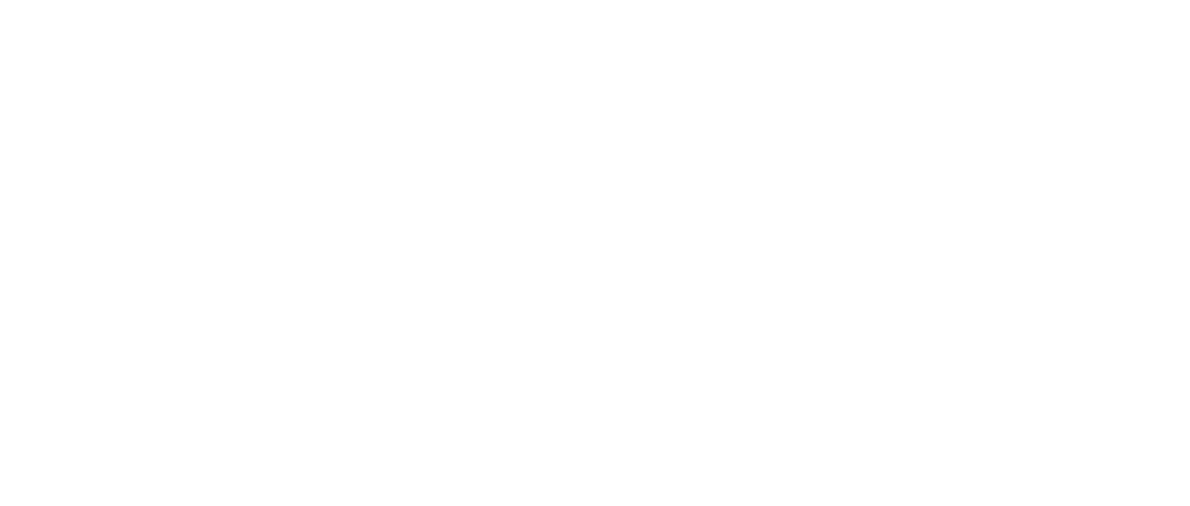 clean dynamics logo